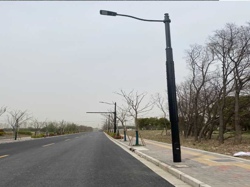 市南区上海综合杆 太阳能路灯工程